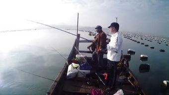 海钓最新视频