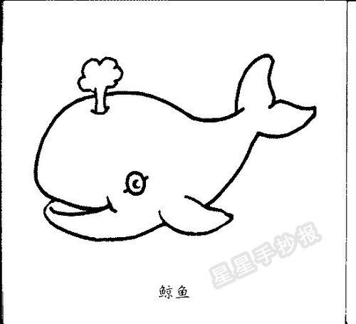 画鲸鱼视频,鲸鱼视频中的奇幻之旅