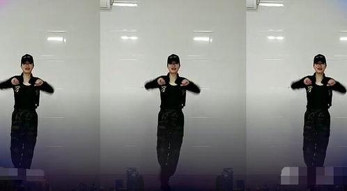 欧毒舞蹈视频,解锁动感舞步新体验