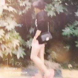 totoct直播视频,精彩瞬间与深度解析