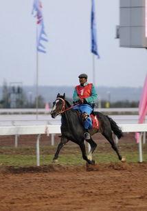 国外最快走马比赛视频,揭秘国外最快走马比赛惊心动魄瞬间