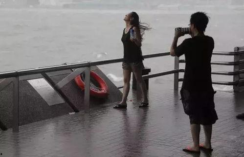 天鸽台风现场视频,惊心动魄的救援瞬间